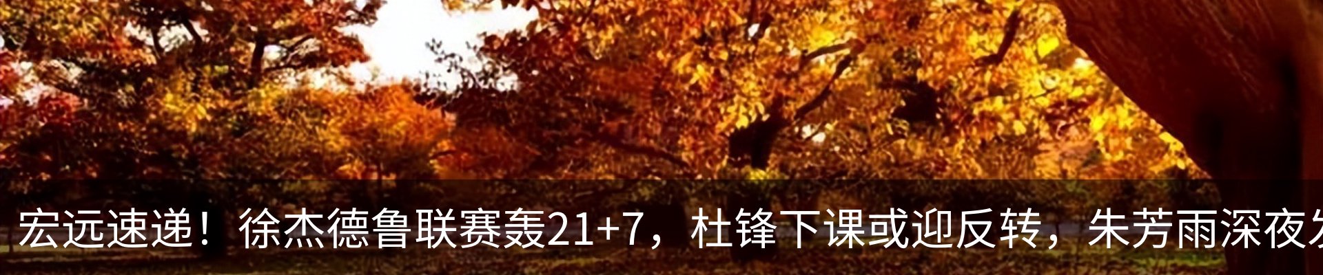资讯动态