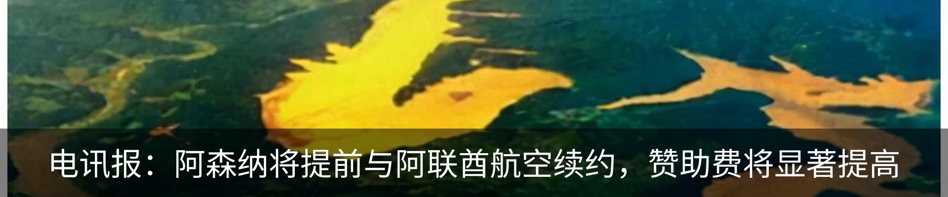 资讯动态
