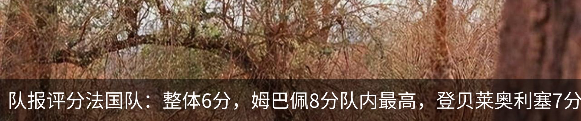 资讯动态